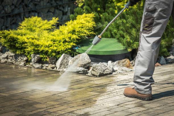 Animal Enclosure Cleaning in Fridley, MN